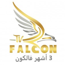 Subscription § Falcon § Three months